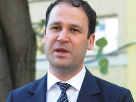 Negoiţă: PDL va avea propriul candidat la preşedinţie